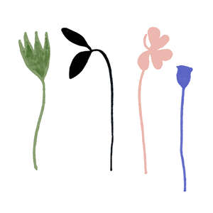 Caravan Lux 10x10 (100x100)