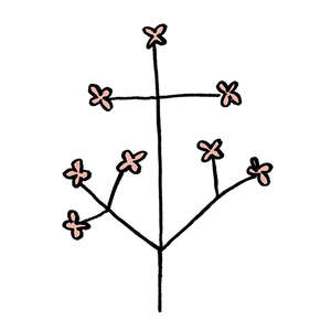 Caravan Lux 10x10 (100x100)