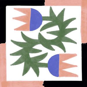 Caravan Lux 10x10 (100x100)