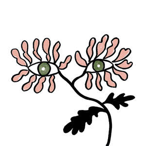 Caravan Lux 10x10 (100x100)