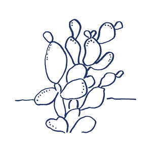 Costiera Lux 10x10 (100x100)