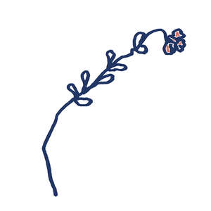 Costiera Lux 10x10 (100x100)