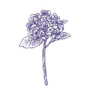 Eddie Lux 10x10 (100x100)