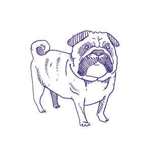 Eddie Lux 10x10 (100x100)