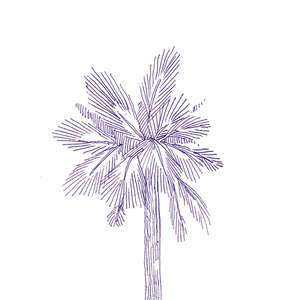 Eddie Lux 10x10 (100x100)