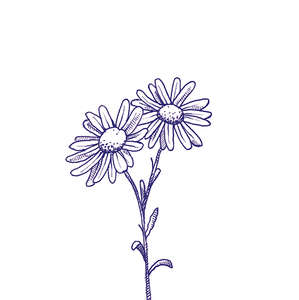 Eddie Lux 10x10 (100x100)