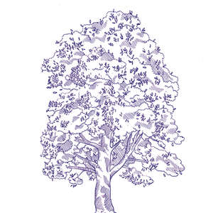 Eddie Lux 10x10 (100x100)