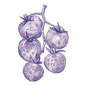 Eddie Lux 10x10 (100x100)