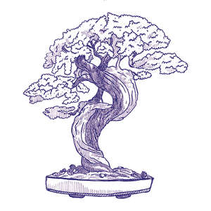 Eddie Lux 10x10 (100x100)