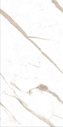 ЭйВиЭс Calacatta Marble Полированный 60x120