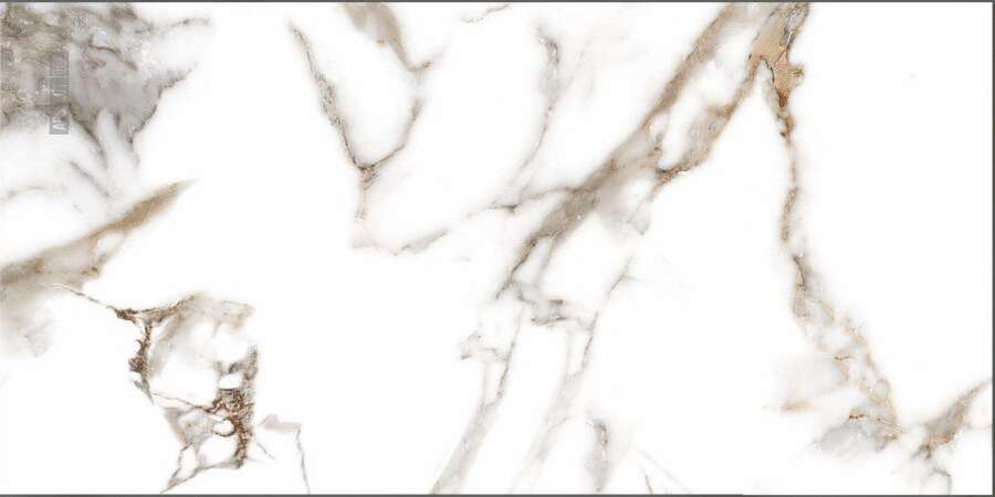 Gloss 120x60 (1200x600)