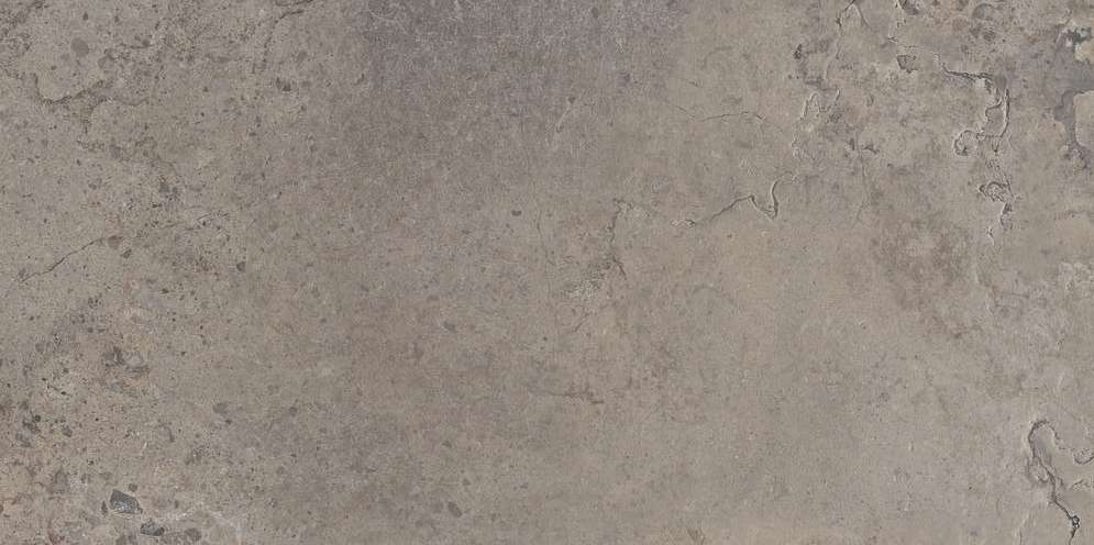 Grey Ant R60x120 (1200x600)