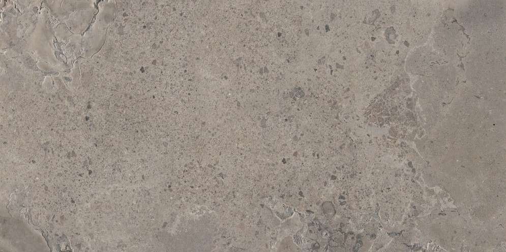 Grey Ant R60x120 (1200x600)