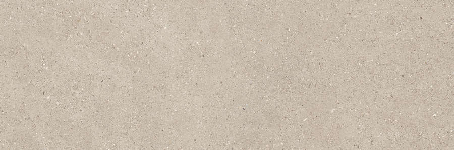 40R Матовый 30x90 (900x300)