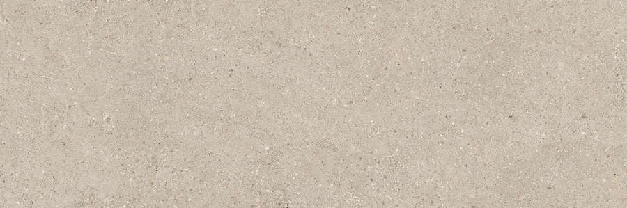40R Матовый 30x90 (900x300)