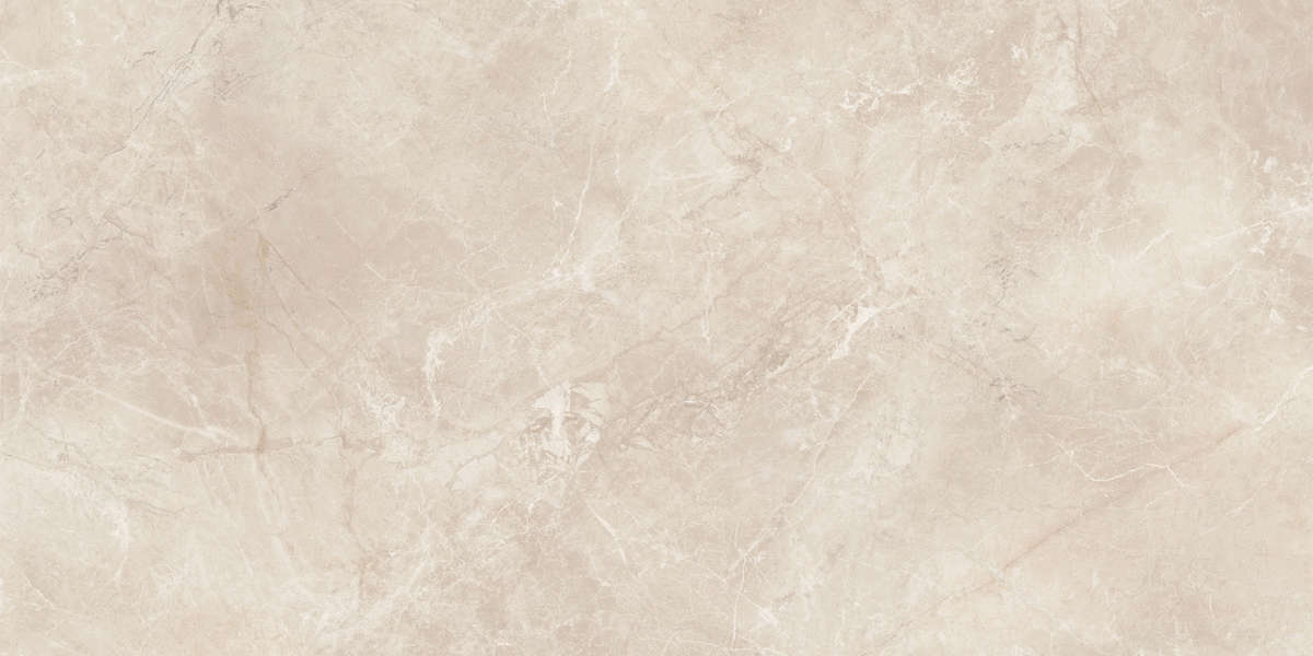 04L Лаппатированный 60x120 (1200x600)