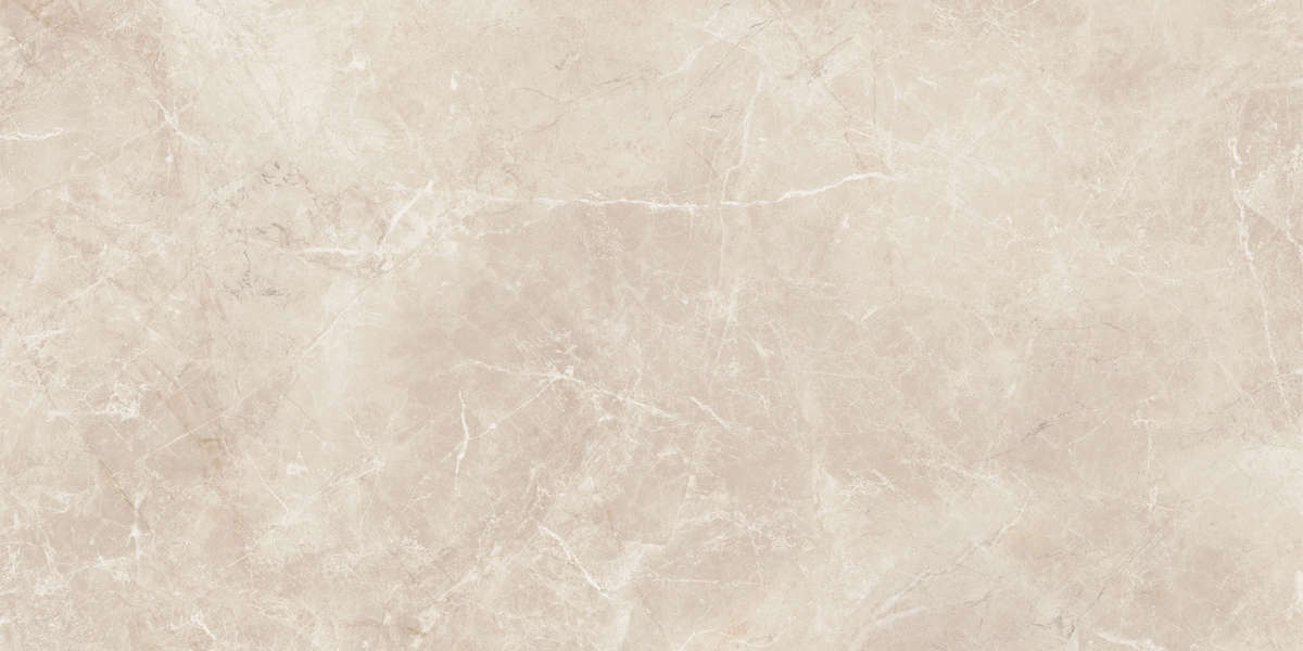 04L Лаппатированный 60x120 (1200x600)