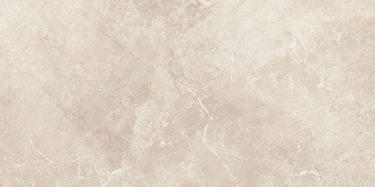 04L Лаппатированный 60x120 (1200x600)