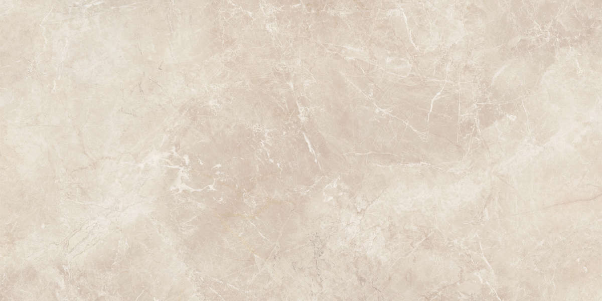 04L Лаппатированный 60x120 (1200x600)