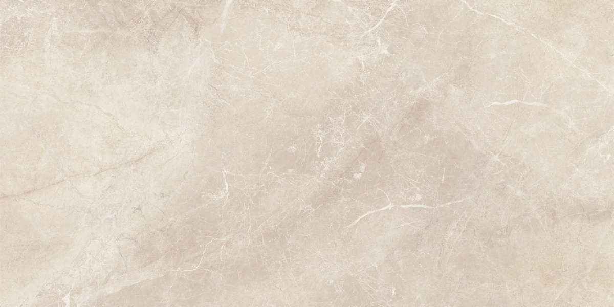 04L Лаппатированный 60x120 (1200x600)