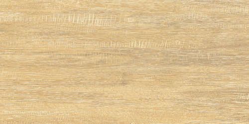 Cedar (500x250)