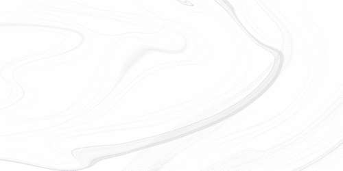 White (500x250)