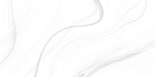 White (500x250)