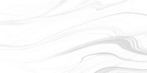 White (500x250)