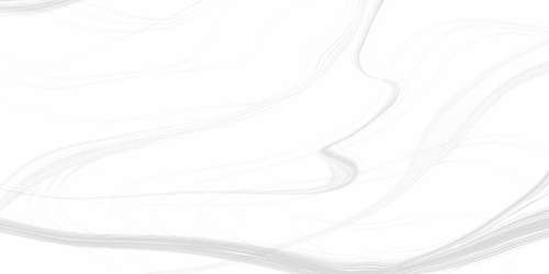 White (500x250)