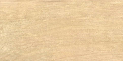 Wood (500x249)