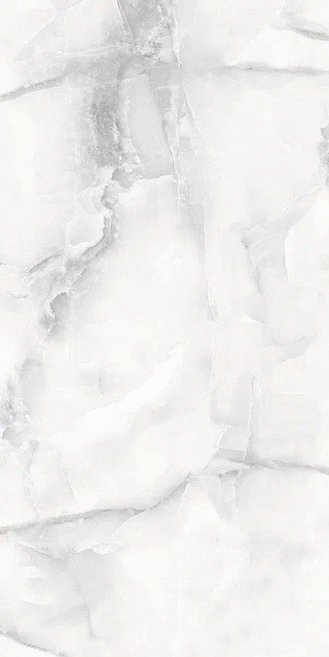 Light Grey Polished 60x120 (600x1200)