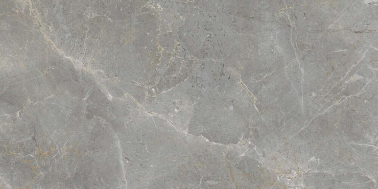 Апе Augustus Grey Natural rect 60x120