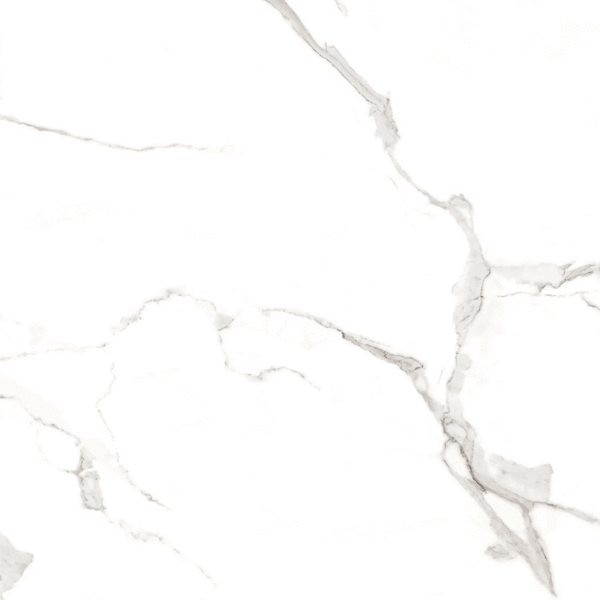 60x60 Full Polished (600x600)
