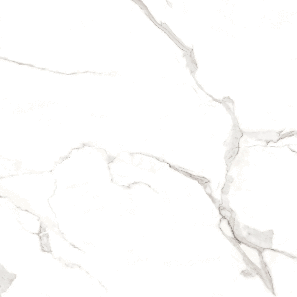 60x60 Full Polished (600x600)
