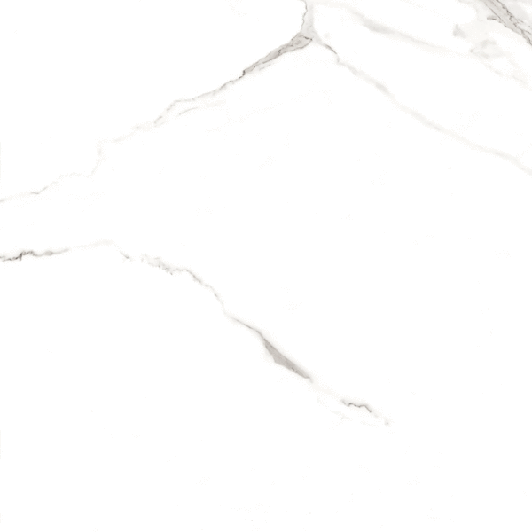 60x60 Full Polished (600x600)