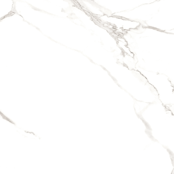 60x60 Full Polished (600x600)