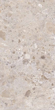 Аргента Petra Taupe Matt. Rect. 60x120