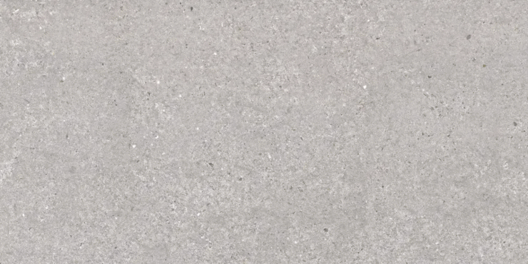 Аргента San Vicente Natural Matt 60x120