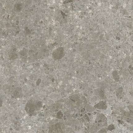 Ариостеа Fragmenta Grigio Luminoso Soft 120x120