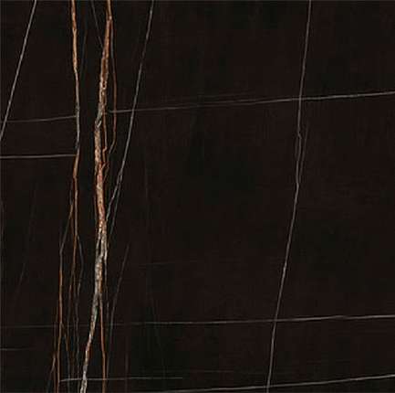 Ариостеа Ultra Marmi                 Sahara Noir Lev Silk 120x120