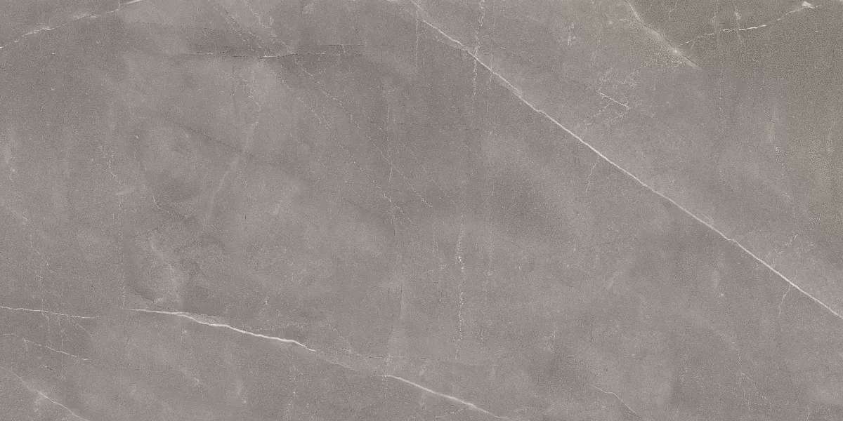 Gris Glossy 60x120 (1200x600)