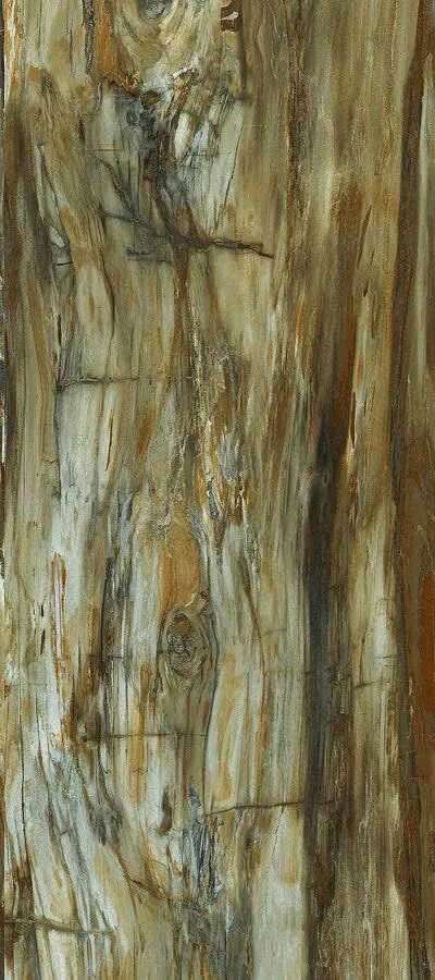 Brown High gloss 60x120 (600x1200)