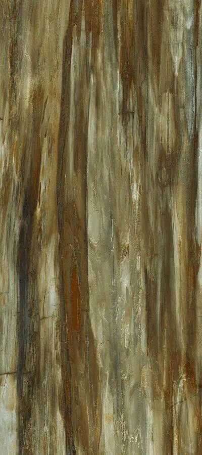 Brown High gloss 60x120 (600x1200)