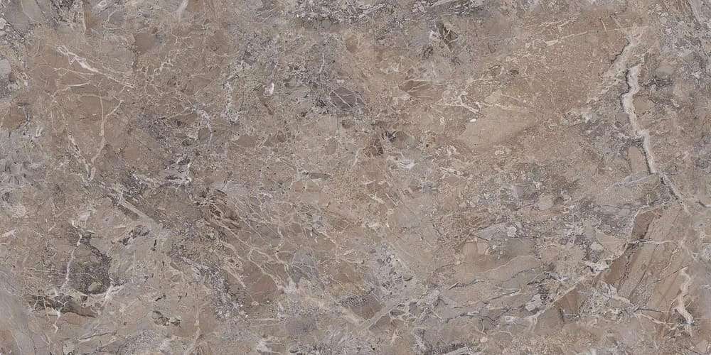 Mud 60x120 Glossy (1200x600)