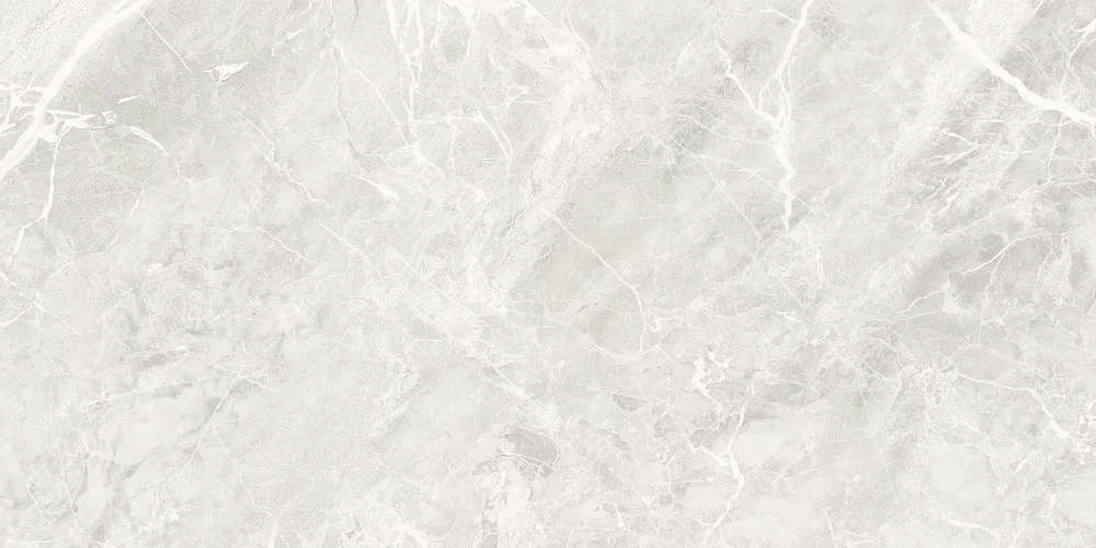 Silver 60x120 Matt (1200x600)