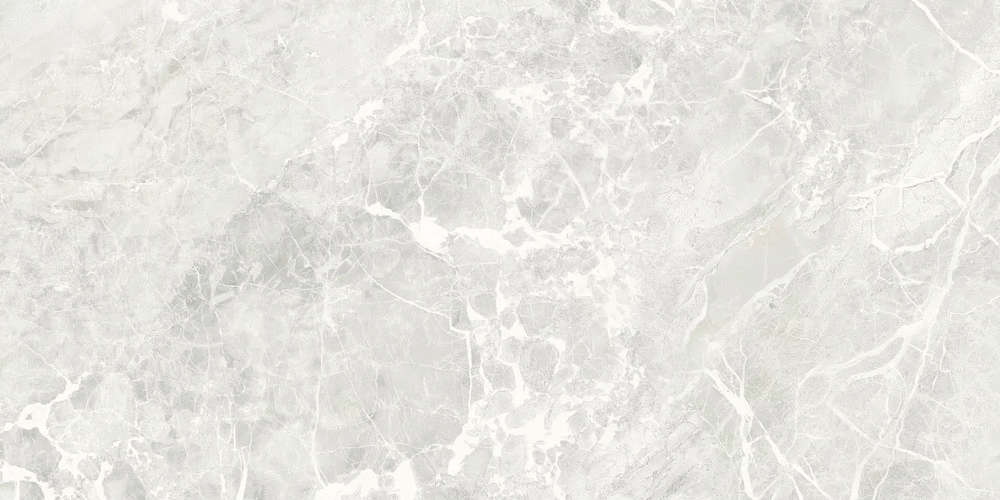 Silver 60x120 Matt (1200x600)