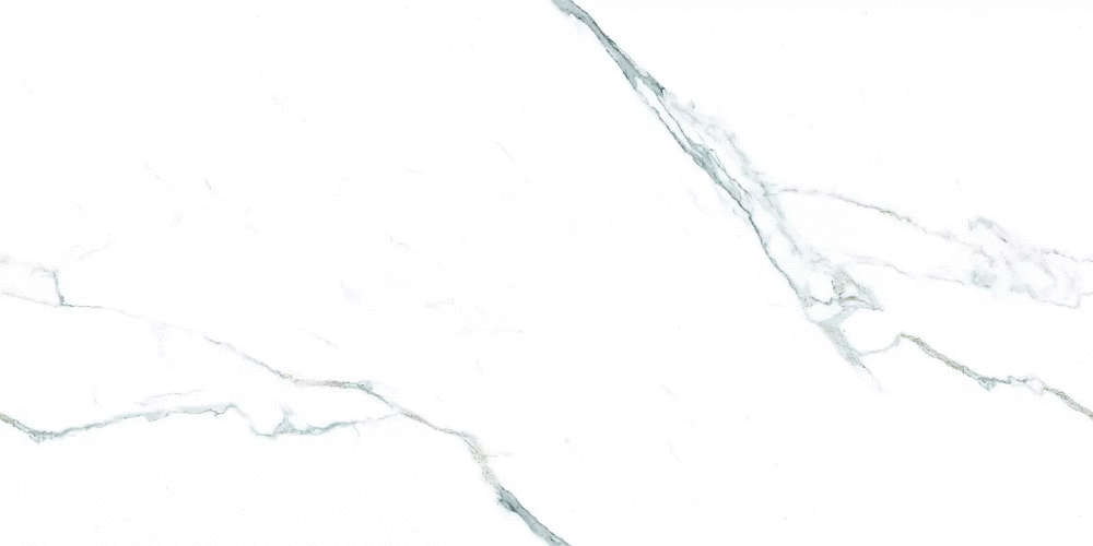 White 60x120 Glossy (1200x600)