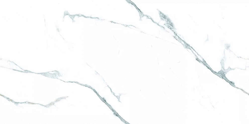 White 60x120 Matt (1200x600)