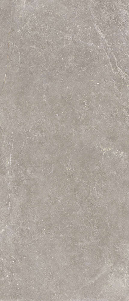 Taupe Mate 280x120 (1200x2800)