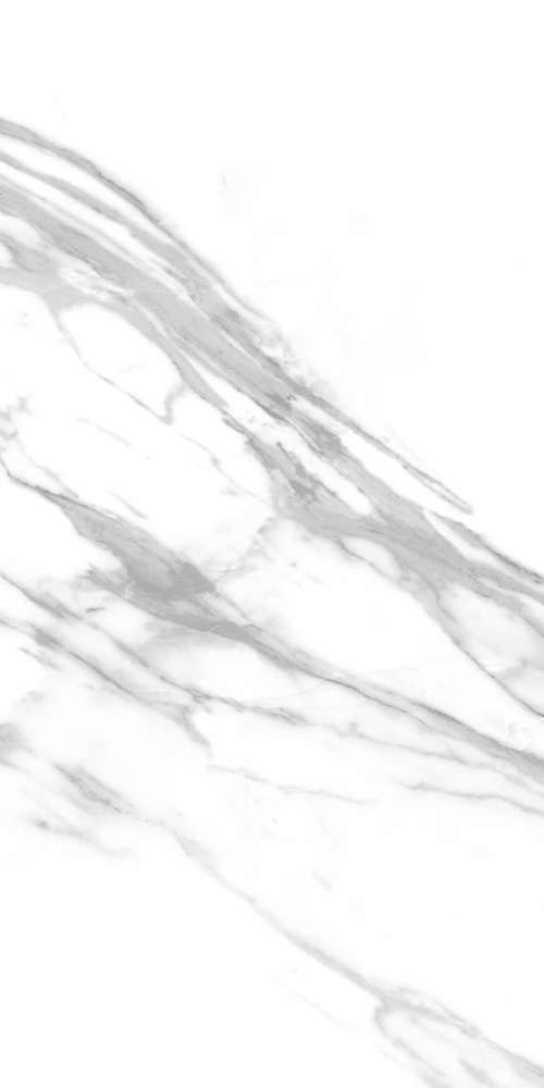 Carrara White (600x1200)